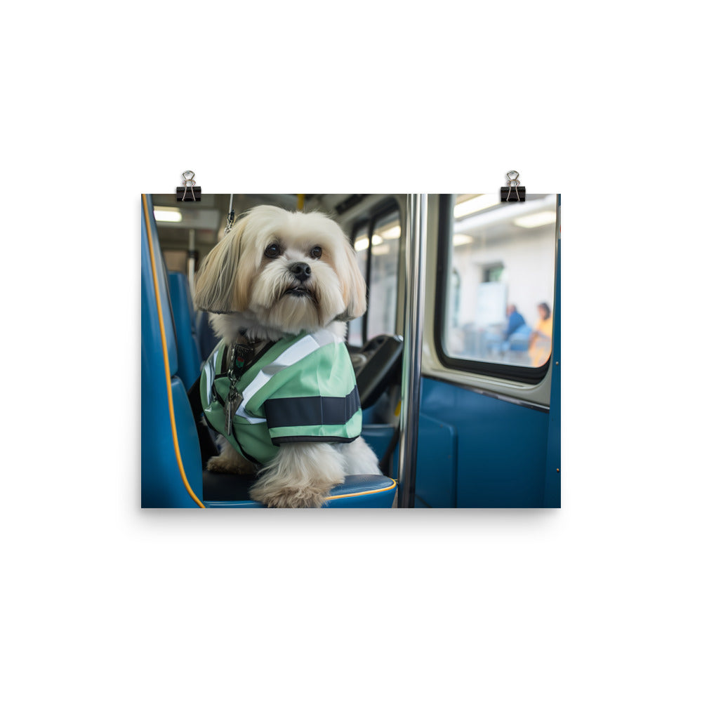 Lhasa Apso Transit Operator Photo paper poster - PosterfyAI.com