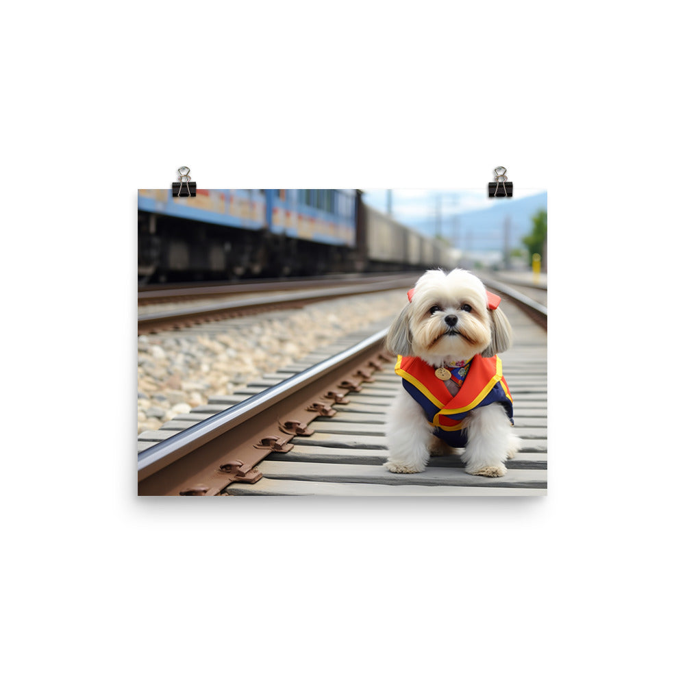 Lhasa Apso Transit Operator Photo paper poster - PosterfyAI.com