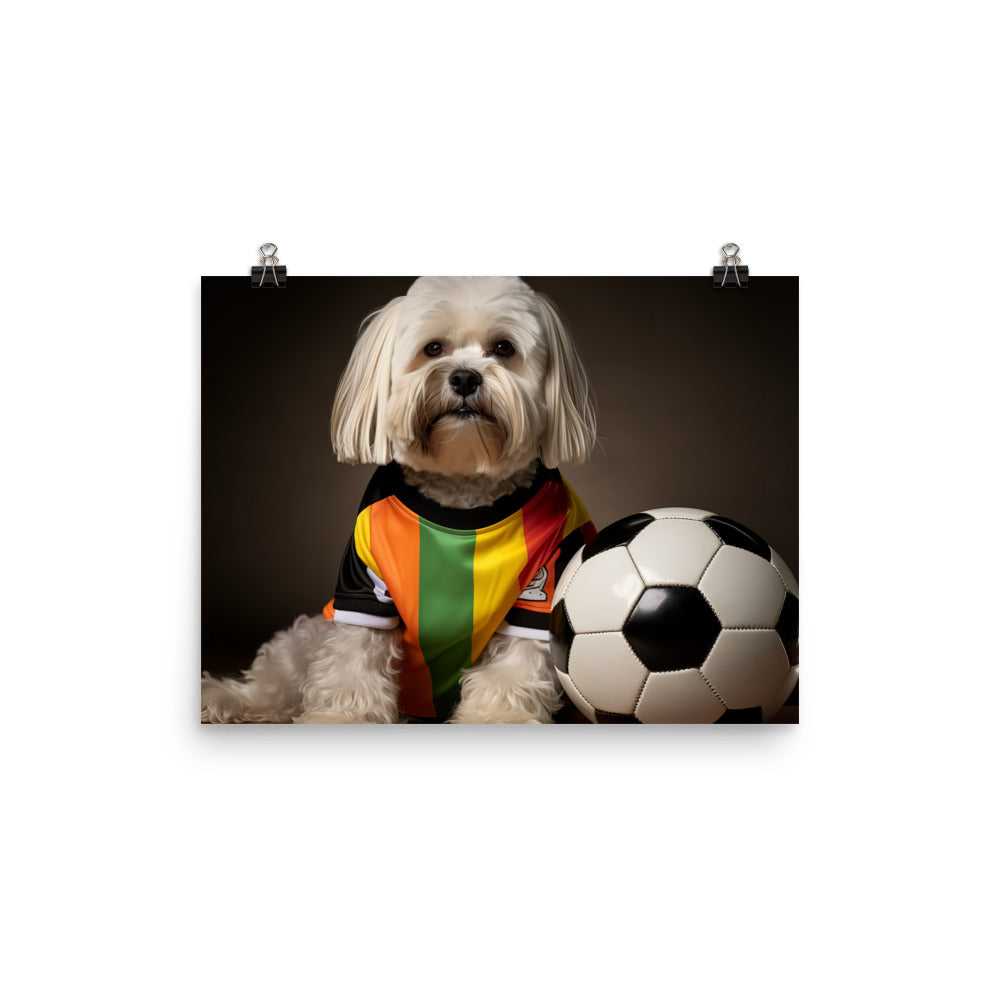 Lhasa Apso Referee Photo paper poster - PosterfyAI.com