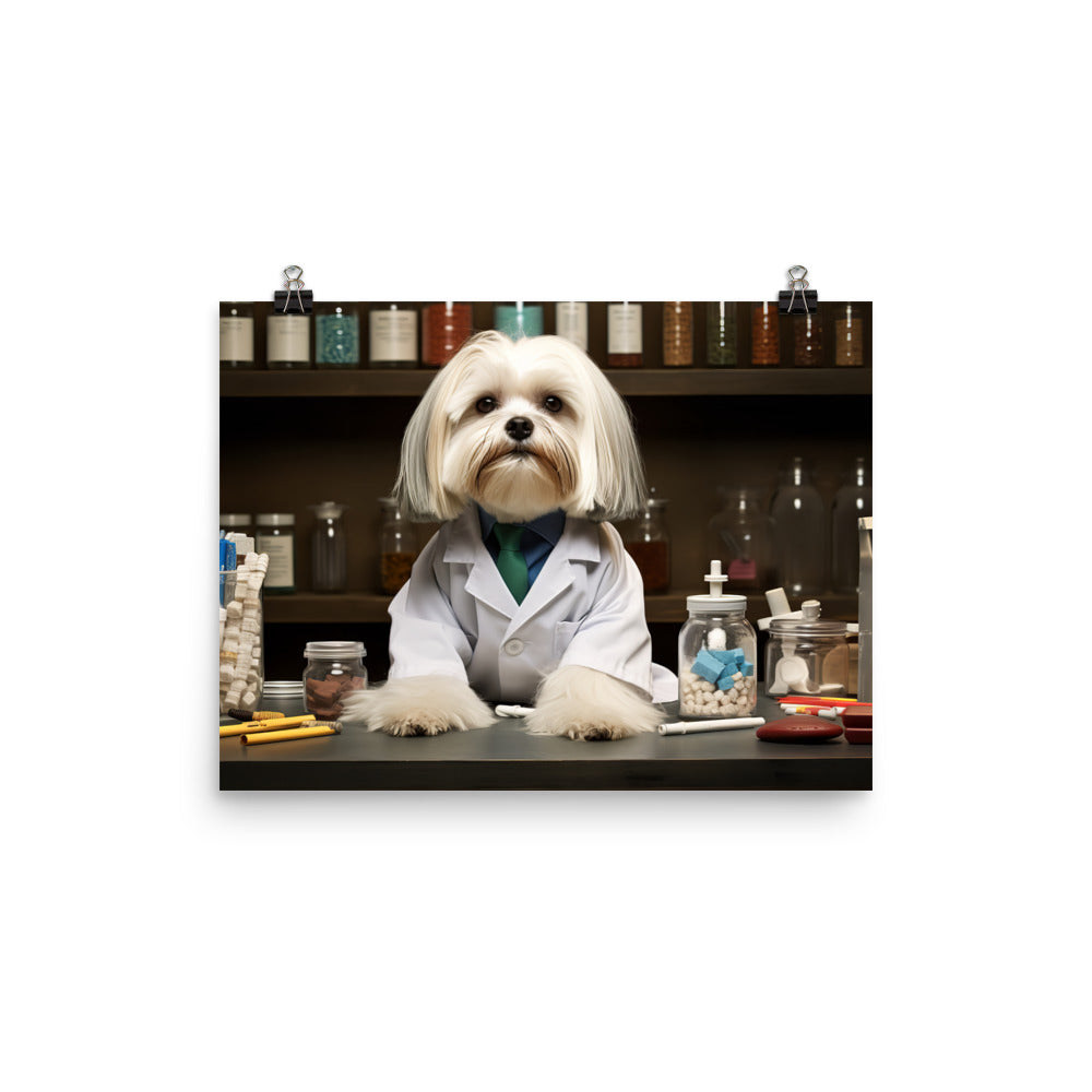 Lhasa Apso Pharmacist Photo paper poster - PosterfyAI.com