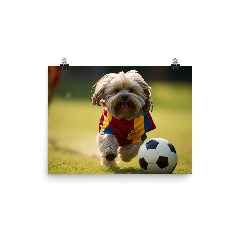 Lhasa Apso Football Player Photo paper poster - PosterfyAI.com