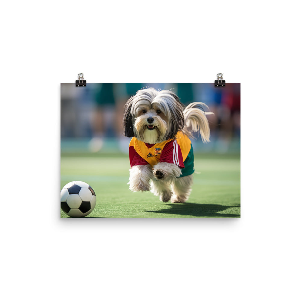 Lhasa Apso Football Player Photo paper poster - PosterfyAI.com