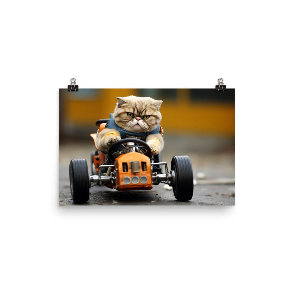 Exotic Shorthair Motorsport Athlete Photo paper poster - PosterfyAI.com