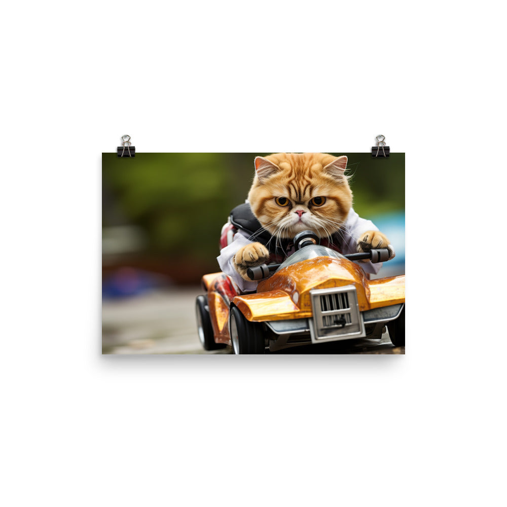 Exotic Shorthair Motorsport Athlete Photo paper poster - PosterfyAI.com