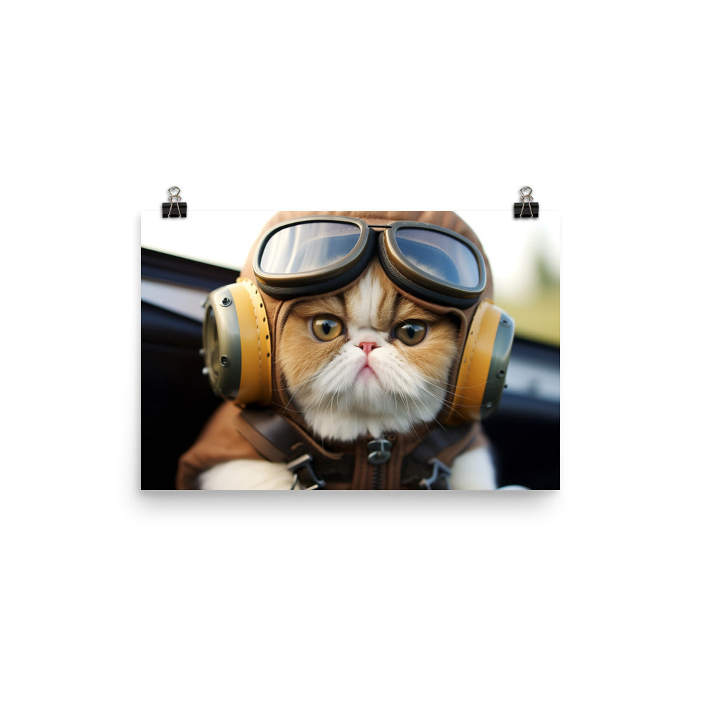 Exotic Shorthair Pilot Photo paper poster - PosterfyAI.com