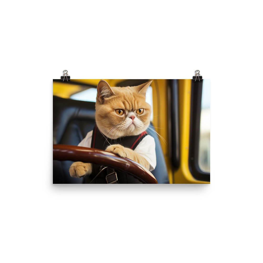 Exotic Shorthair Transit Operator Photo paper poster - PosterfyAI.com