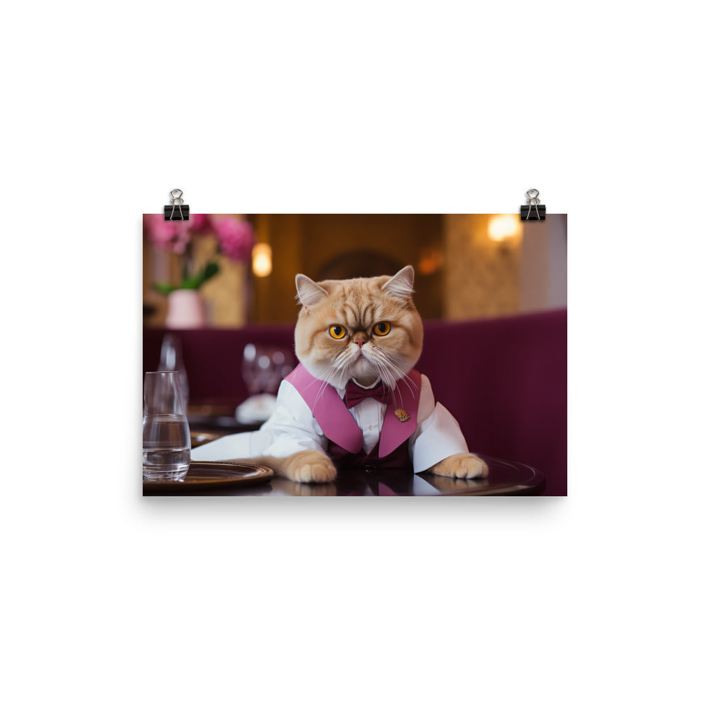 Exotic Shorthair Hotel Staff Photo paper poster - PosterfyAI.com