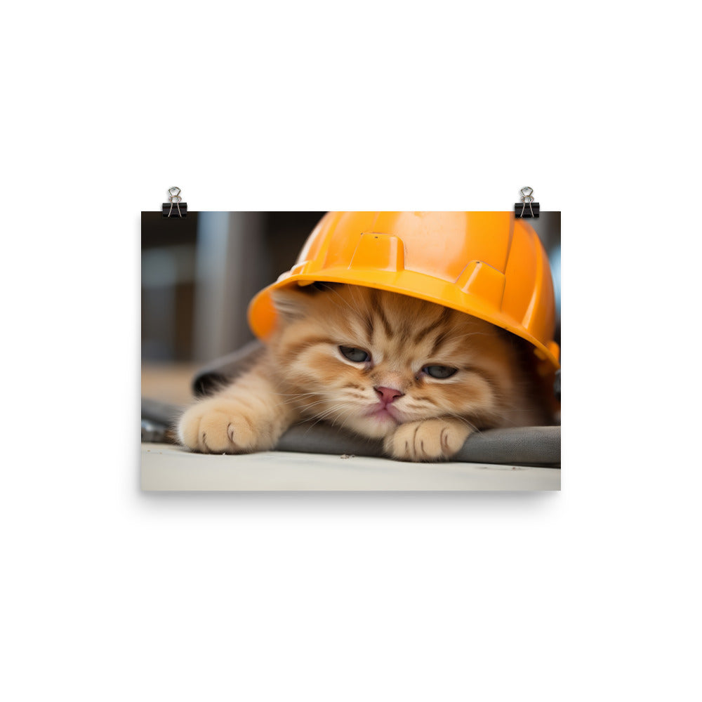 Exotic Shorthair Contractor Photo paper poster - PosterfyAI.com