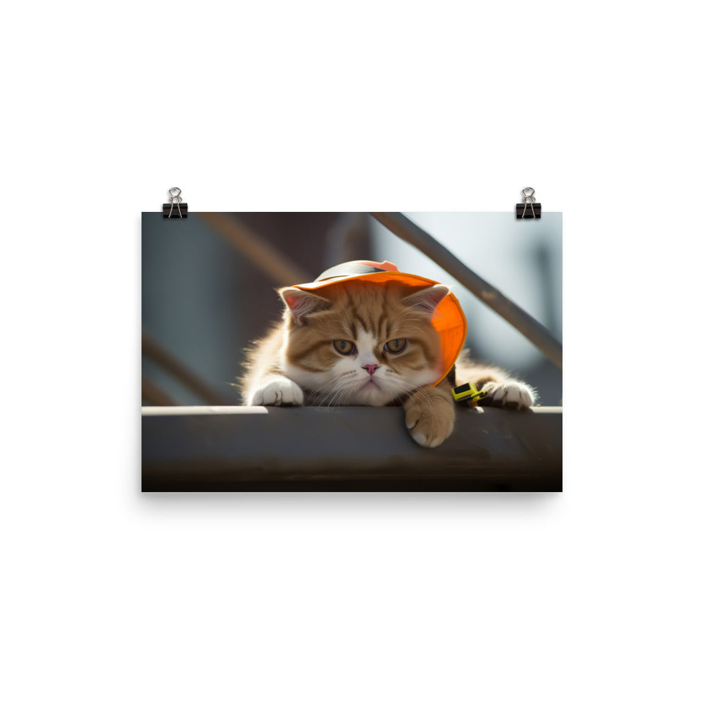 Exotic Shorthair Contractor Photo paper poster - PosterfyAI.com