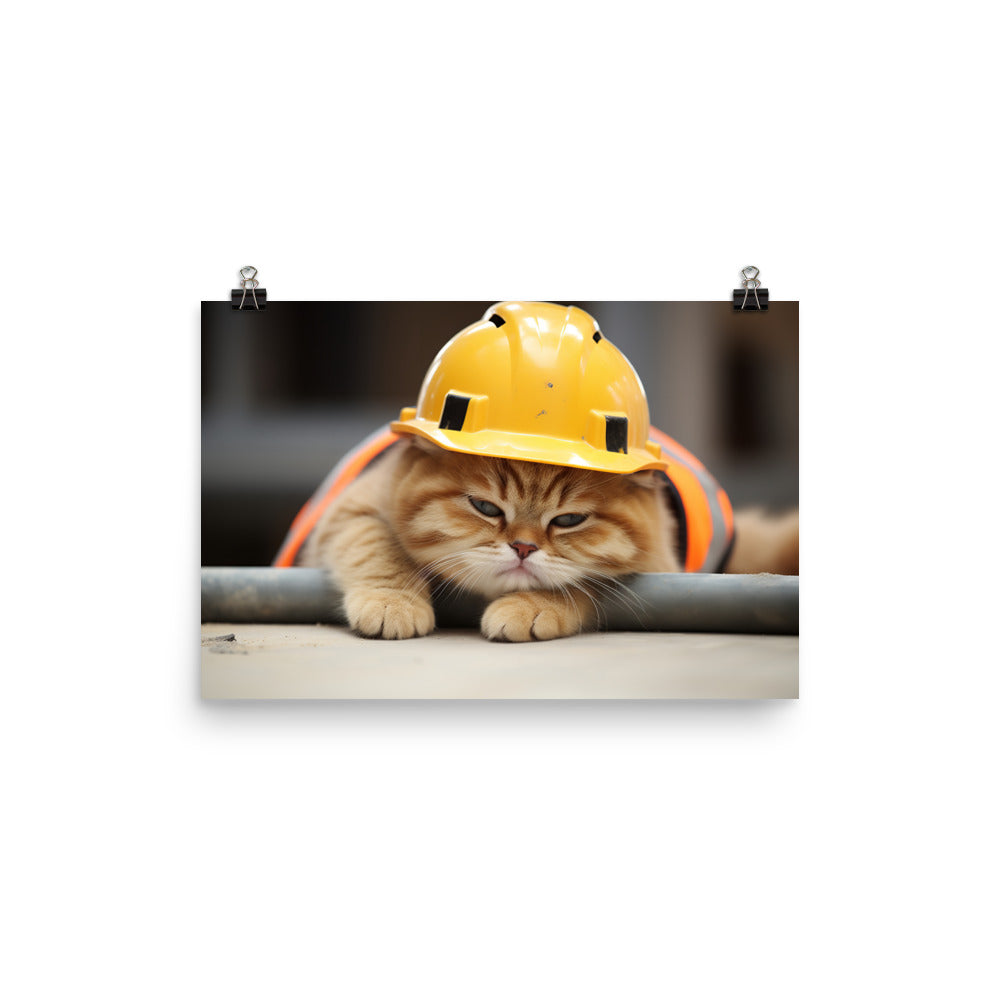 Exotic Shorthair Contractor Photo paper poster - PosterfyAI.com