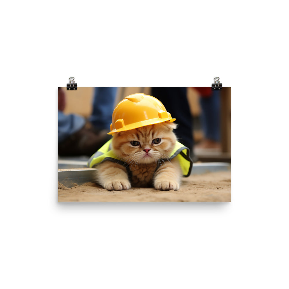 Exotic Shorthair Contractor Photo paper poster - PosterfyAI.com