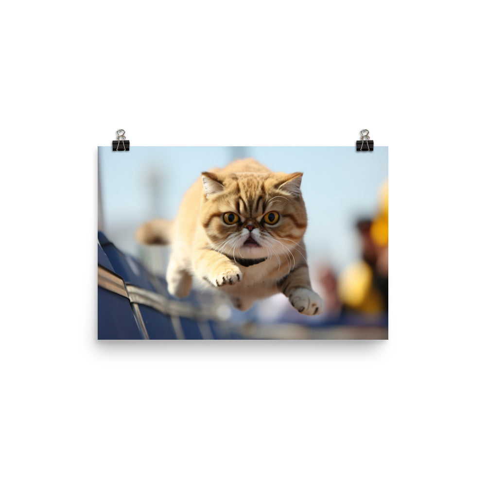 Exotic Shorthair Photo paper poster - PosterfyAI.com