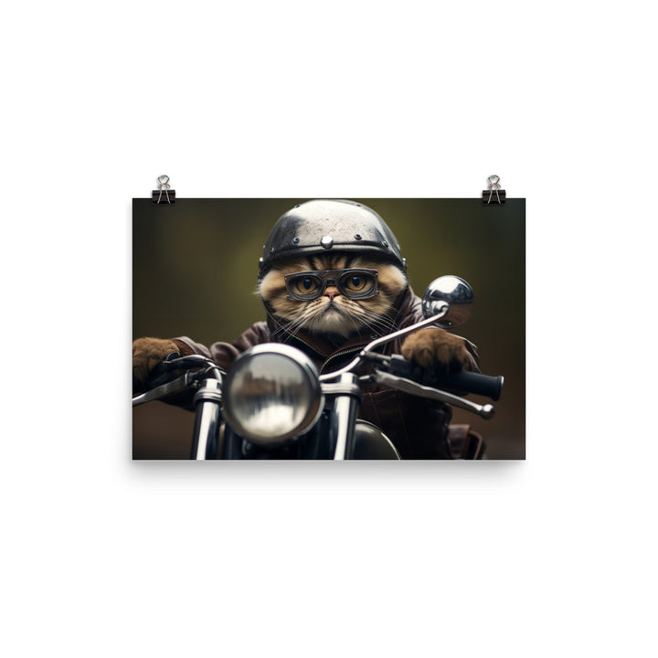 Exotic Shorthair Superbike Athlete paper poster - PosterfyAI.com