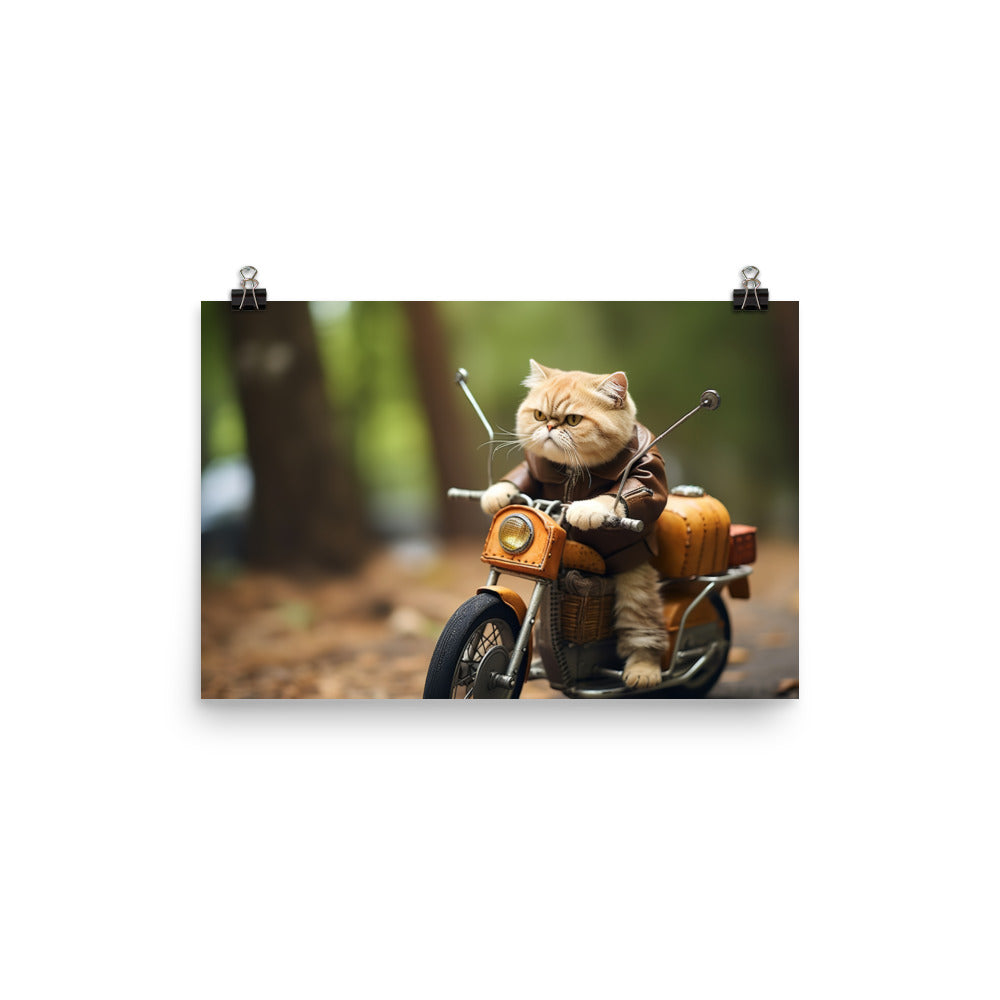 Exotic Shorthair Superbike Athlete Photo paper poster - PosterfyAI.com