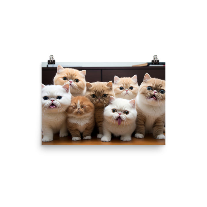 Exotic Shorthair Photo paper poster - PosterfyAI.com