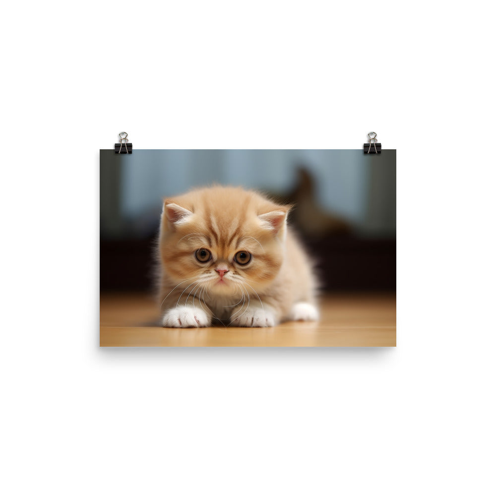 Exotic Shorthair Photo paper poster - PosterfyAI.com