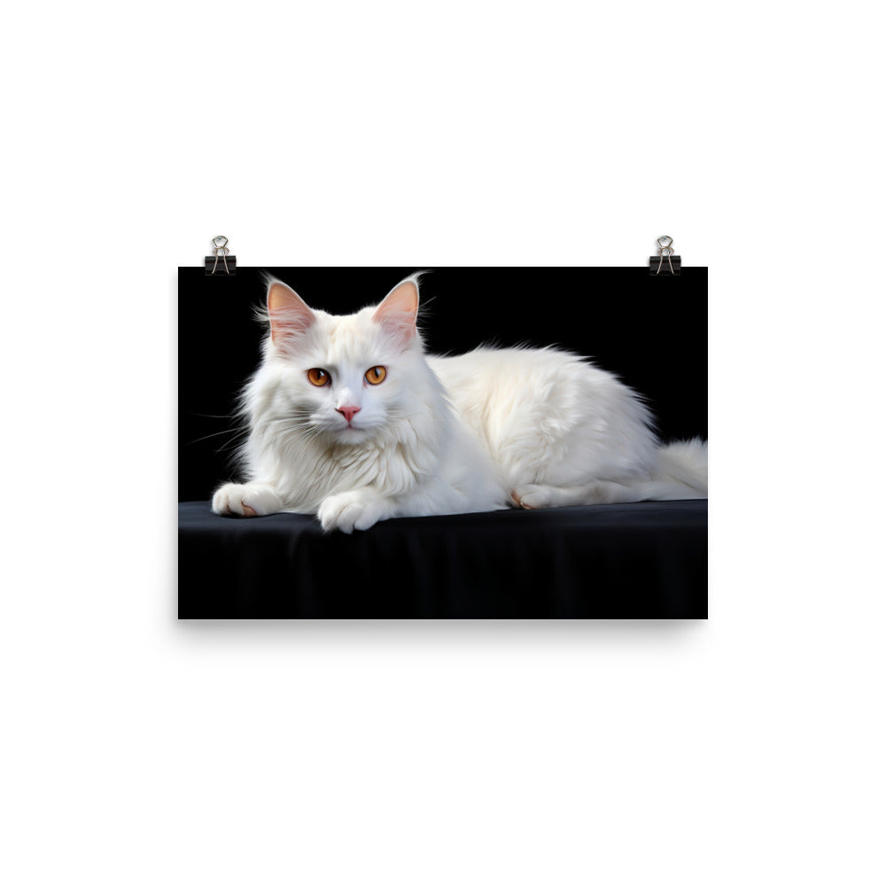 Turkish Van Photo paper poster - PosterfyAI.com