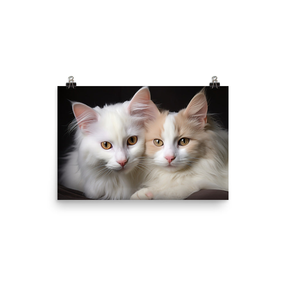 Turkish Van Photo paper poster - PosterfyAI.com