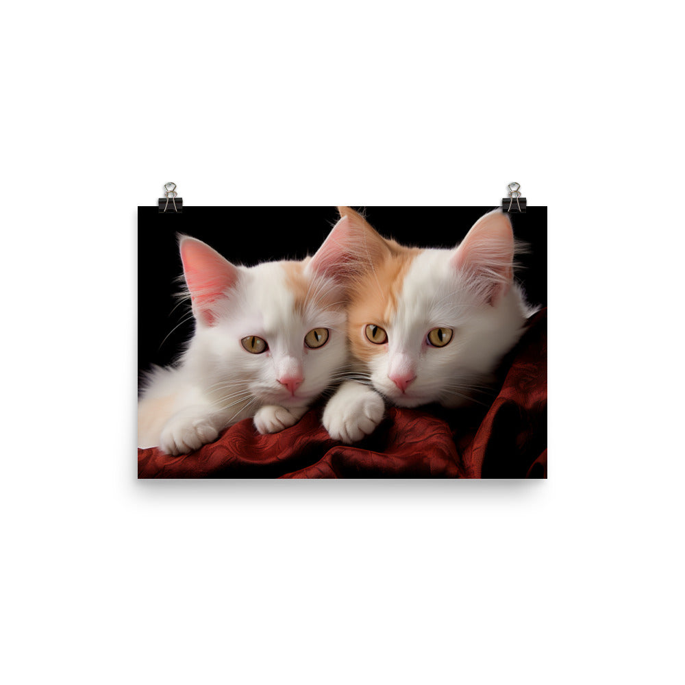 Turkish Van Photo paper poster - PosterfyAI.com