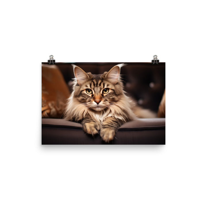 Maine Coon Photo paper poster - PosterfyAI.com