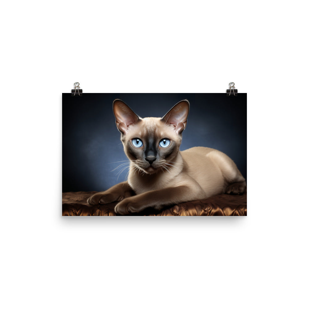 Tonkinese Photo paper poster - PosterfyAI.com