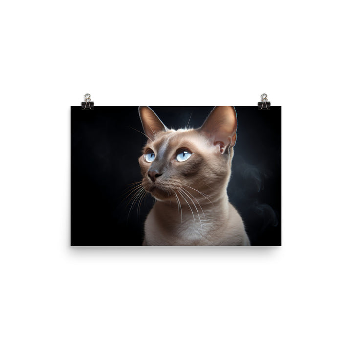 Tonkinese Photo paper poster - PosterfyAI.com