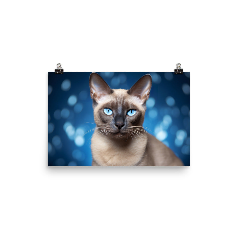 Tonkinese Photo paper poster - PosterfyAI.com