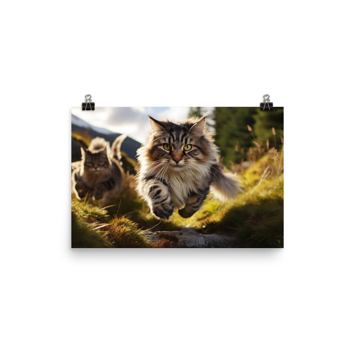 Norwegian Forest Photo paper poster - PosterfyAI.com