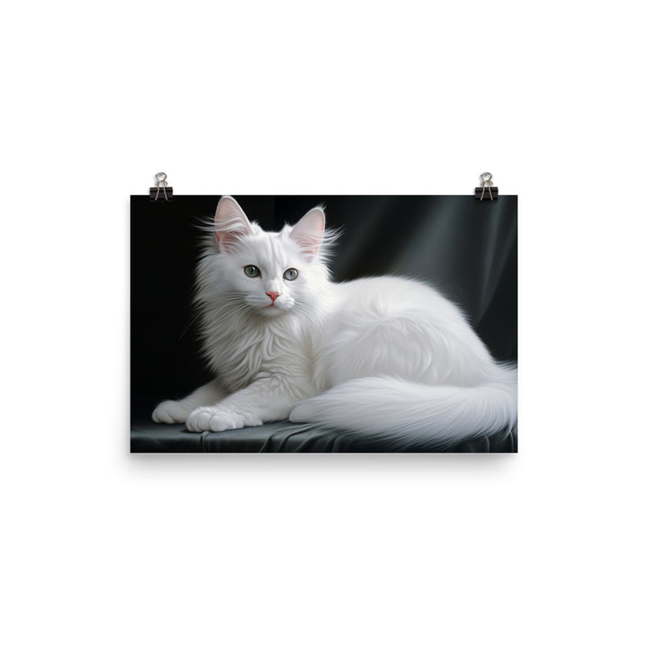 Turkish Angora Photo paper poster - PosterfyAI.com