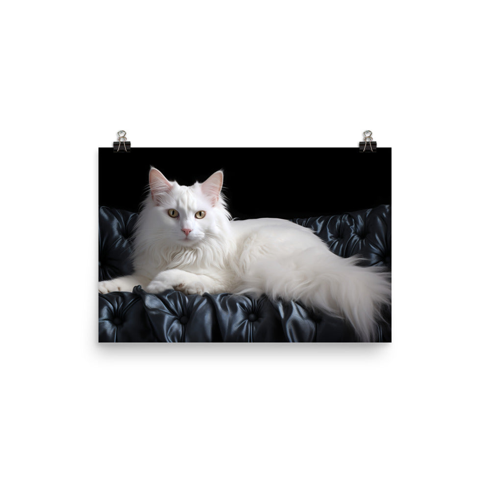 Turkish Angora Photo paper poster - PosterfyAI.com