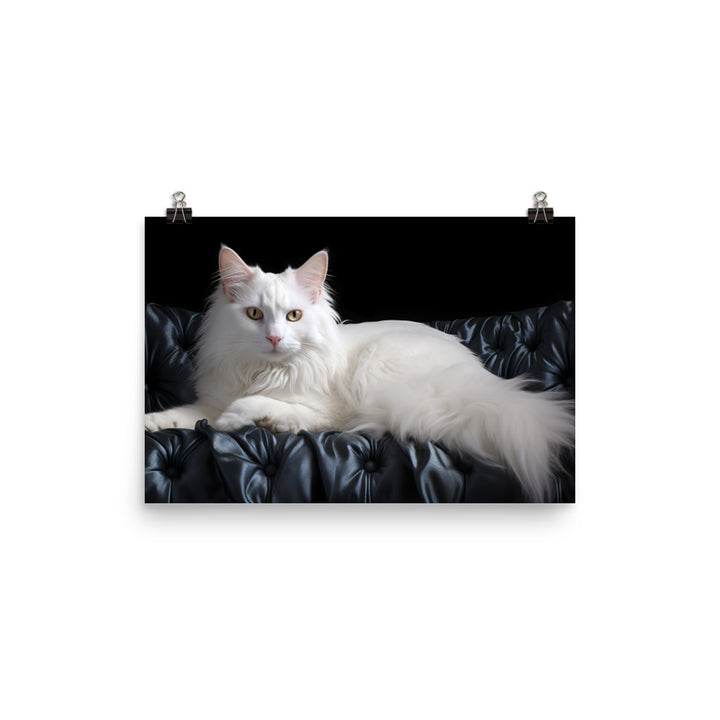 Turkish Angora Photo paper poster - PosterfyAI.com