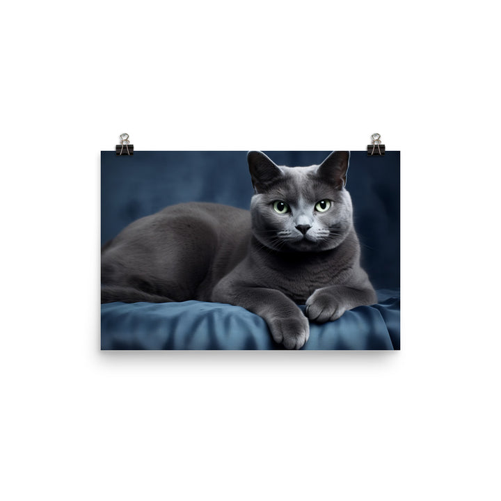 Russian Blue Photo paper poster - PosterfyAI.com