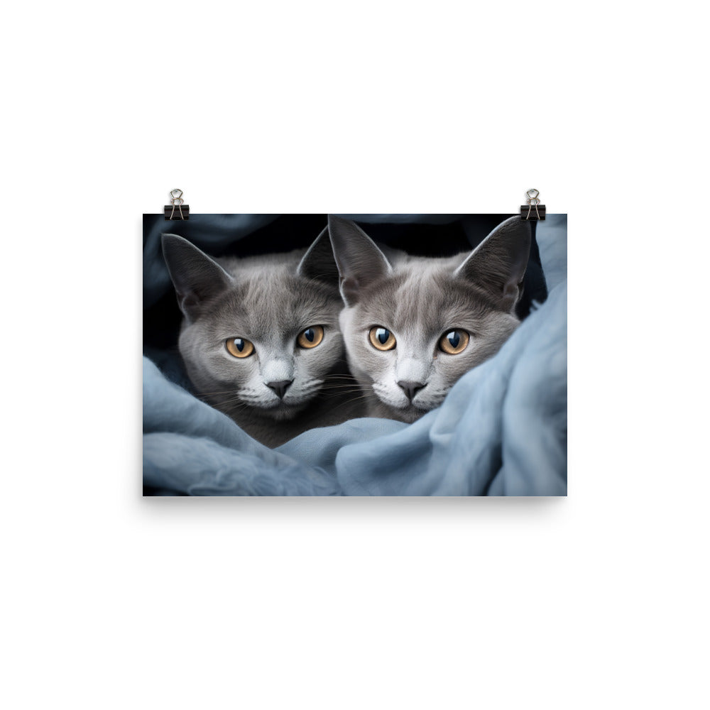 Russian Blue Photo paper poster - PosterfyAI.com