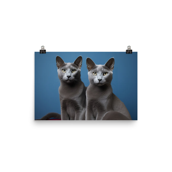 Russian Blue Photo paper poster - PosterfyAI.com