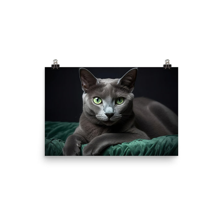 Russian Blue Photo paper poster - PosterfyAI.com