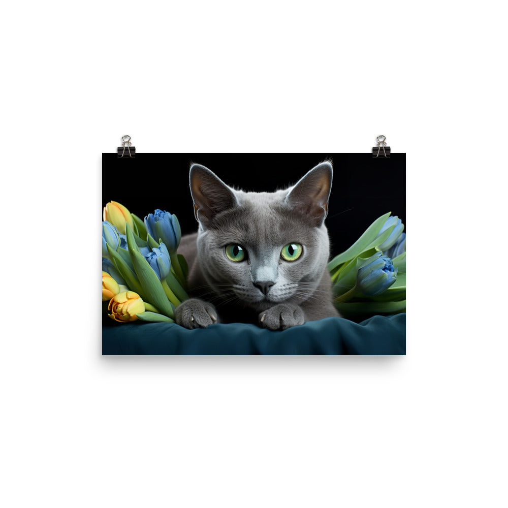 Russian Blue Photo paper poster - PosterfyAI.com