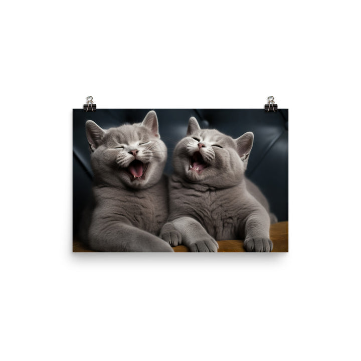 British Shorthair Photo paper poster - PosterfyAI.com