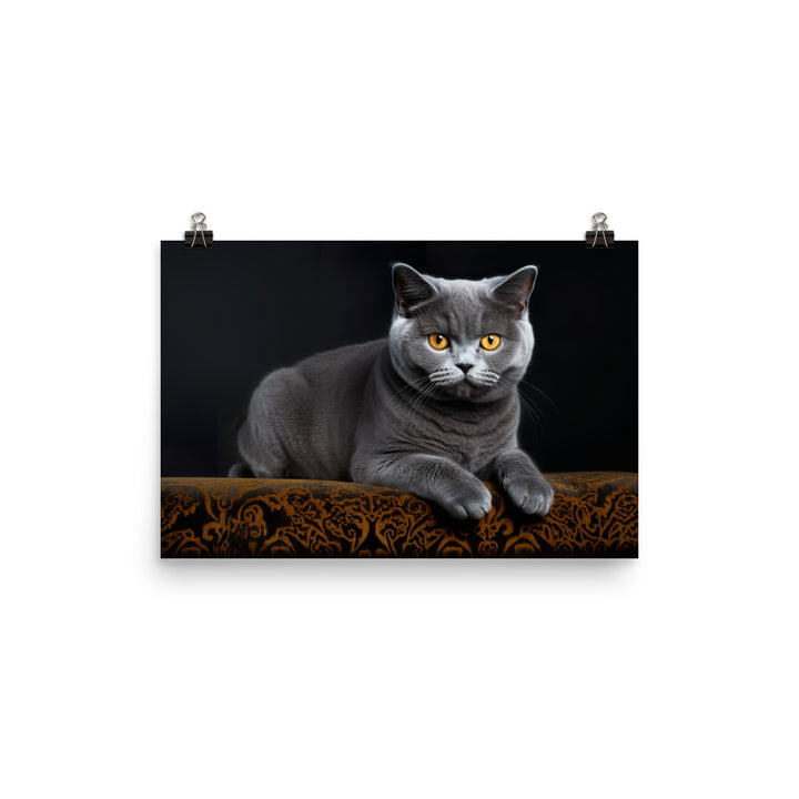 British Shorthair Photo paper poster - PosterfyAI.com