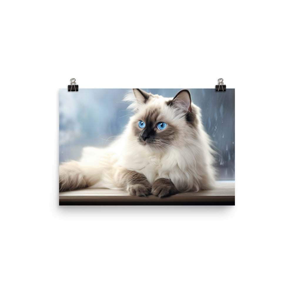 Birman Photo paper poster - PosterfyAI.com