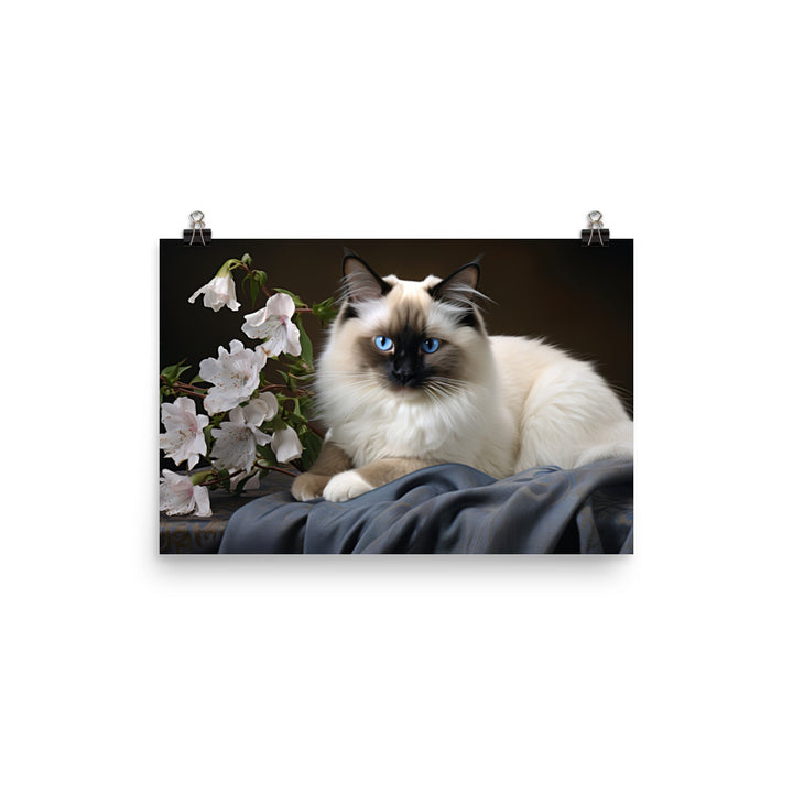 Birman Photo paper poster - PosterfyAI.com