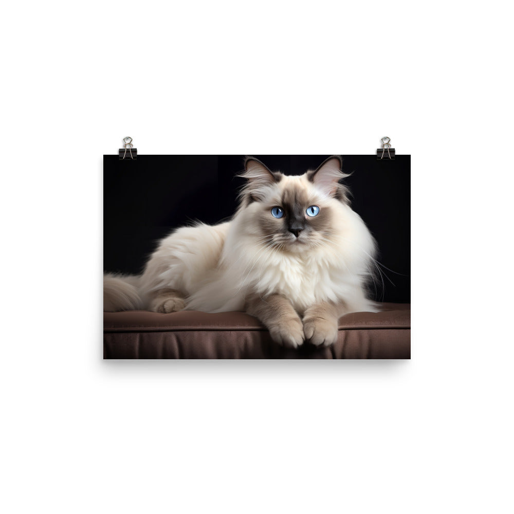 Birman Photo paper poster - PosterfyAI.com