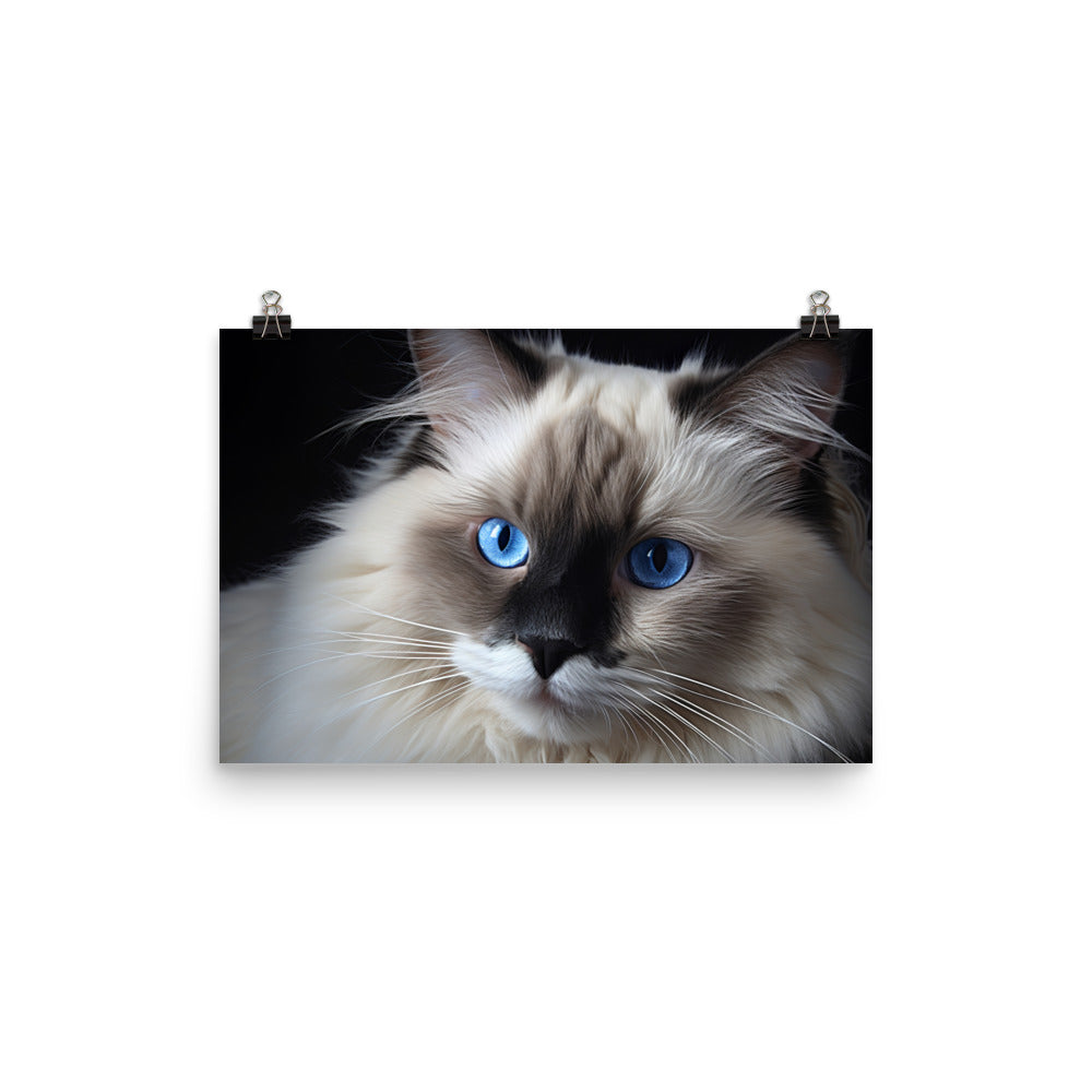 Birman Photo paper poster - PosterfyAI.com