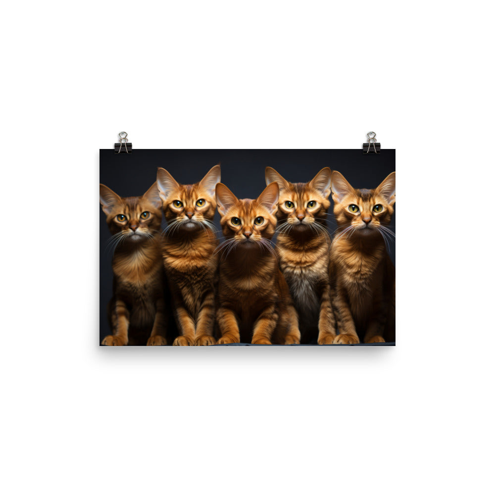 Abyssinian Photo paper poster - PosterfyAI.com