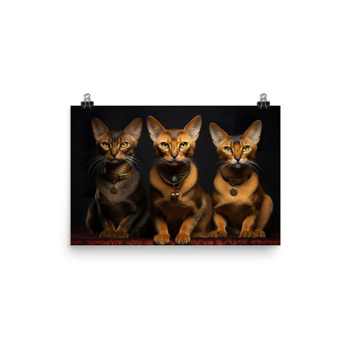 Abyssinian Photo paper poster - PosterfyAI.com