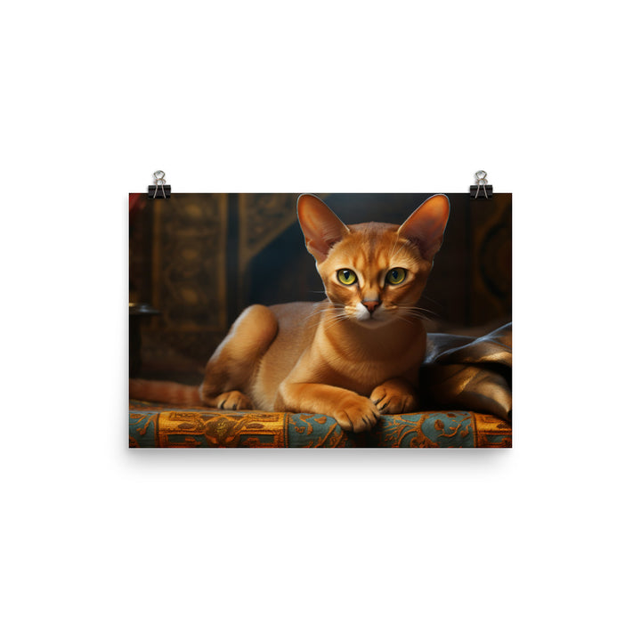 Abyssinian Photo paper poster - PosterfyAI.com