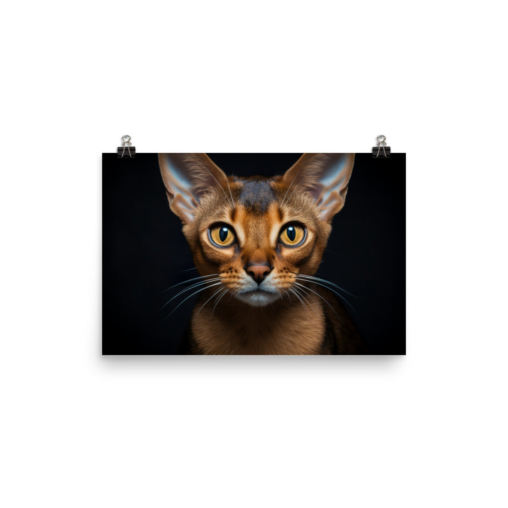 Abyssinian Photo paper poster - PosterfyAI.com