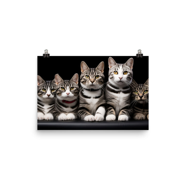 American Shorthair Photo paper poster - PosterfyAI.com