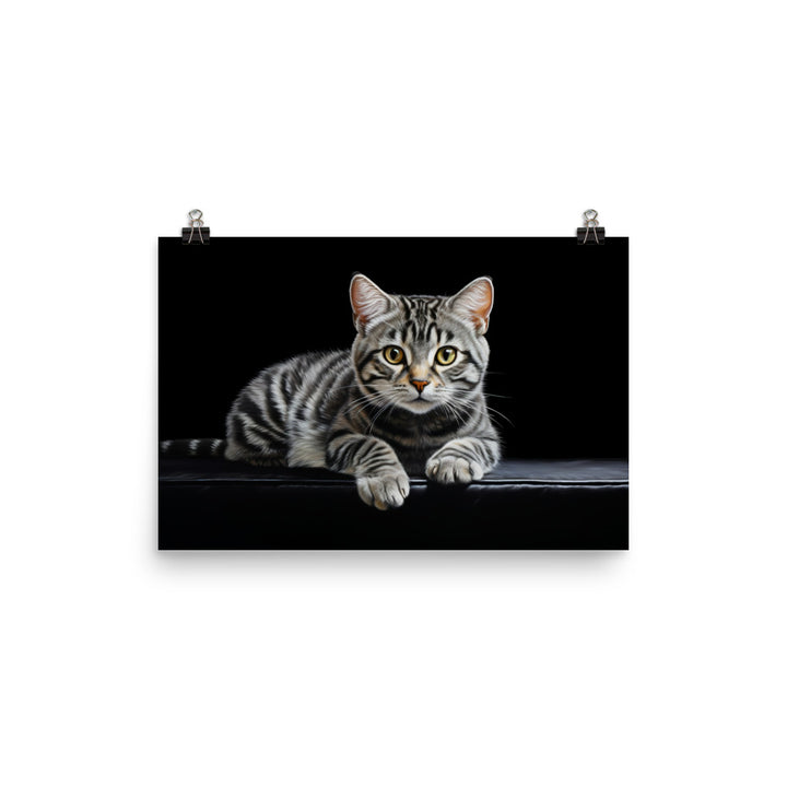 American Shorthair Photo paper poster - PosterfyAI.com