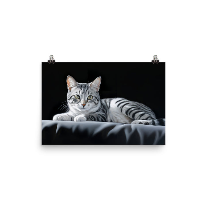 American Shorthair Photo paper poster - PosterfyAI.com