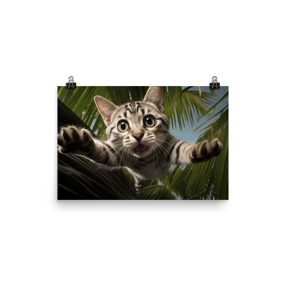 American Shorthair Photo paper poster - PosterfyAI.com